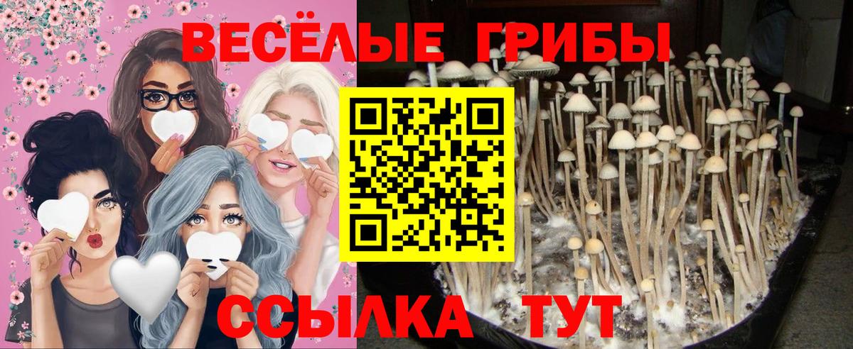 Ревда  Галлюциногенные грибы прущие грибы  Вход с VPN  Псилоцибиновые грибы ЛСД 